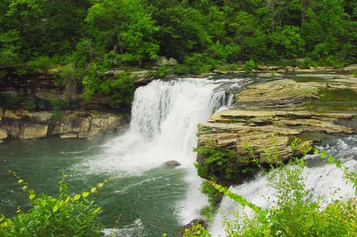 Figure 8. Southwestern Appalachians Ecoregion